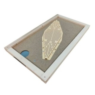 Apiscampo Losanga Su Tavoletta Da 6