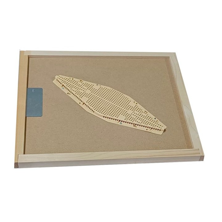 Apiscampo Losanga Su Tavoletta Da 10