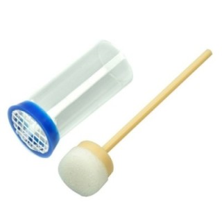 Fermaregina Con Tampone