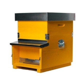 Arnia Standard Da 10 Favi Completa