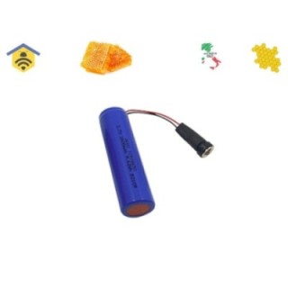 Batteria Ricaricabile Aggiuntiva | adatta a bHub Plus/ bSentinel Plus/ bMeteoHub