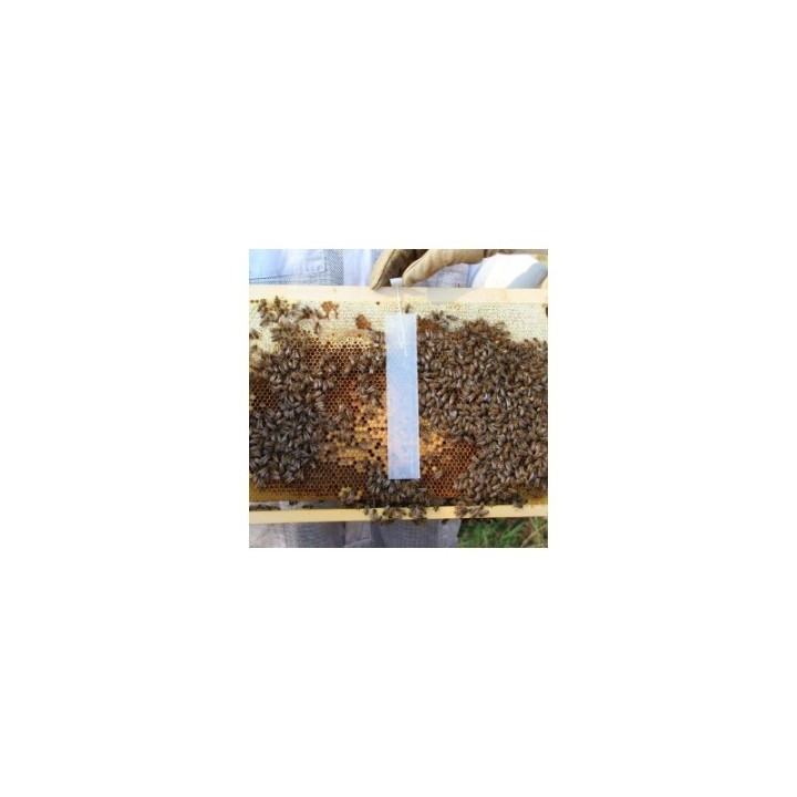 ApiVAr Confezioni Da 10 Strisce