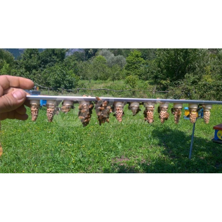 TELAINO PORTASTECCHE